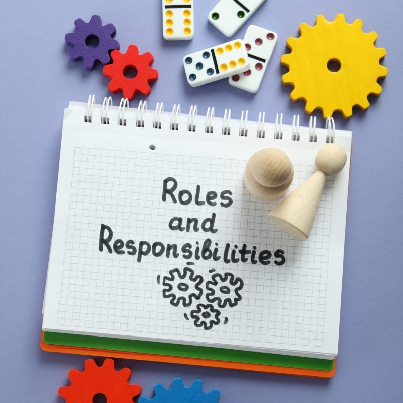 roles-and-responsibilities-with-gears-and-dominoes-2026-01-09-08-21-04-utc